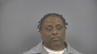 Mugshot of WALLIS, LESTER