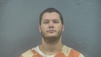 Mugshot of PALMER, DILLON