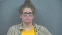 Mugshot of DODSON, SAMANTHA