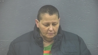 Mugshot of VANCLEEF, BRENDA