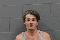 Mugshot of ROBERTSON, SHAYNE