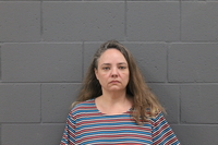 Mugshot of WILSON, BRENDA